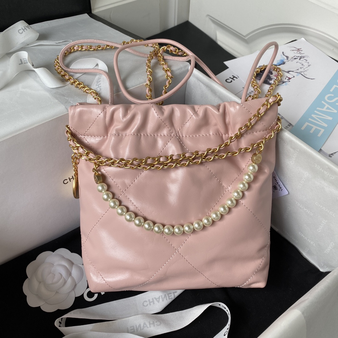 Chanle 22 Backpack Mini