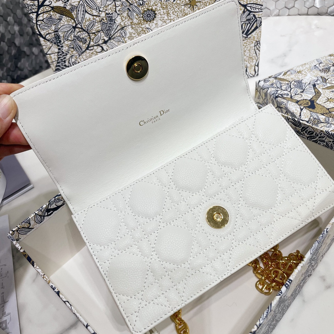 Dior Caro Pouch