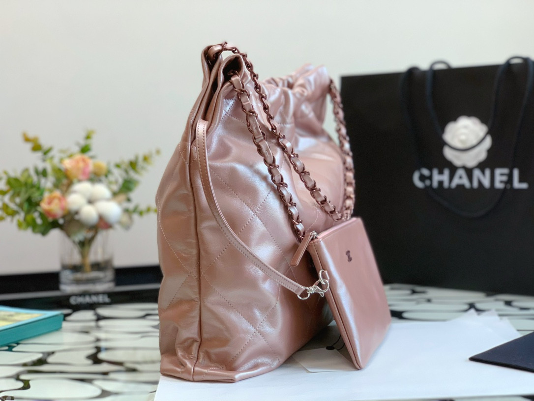 Chanle 22 Backpack