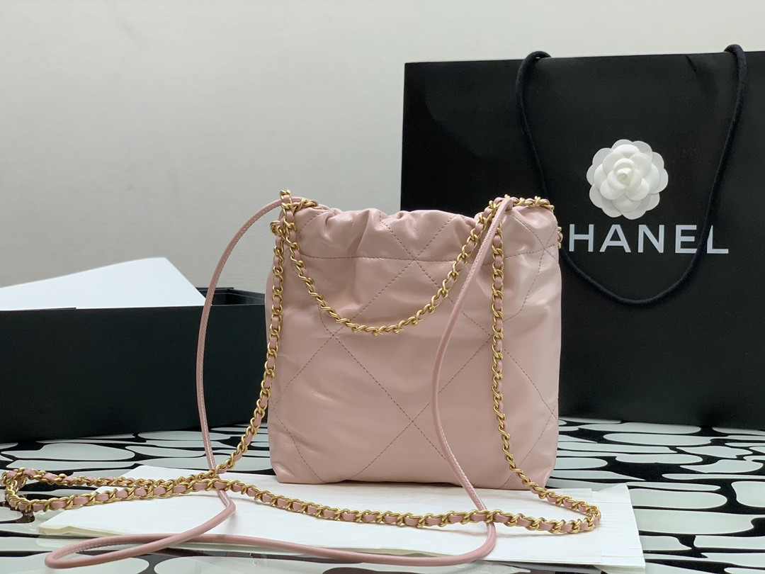 Chanle 22 Backpack Mini