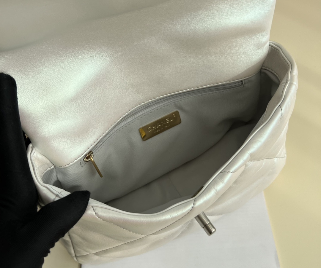 Chanle 19 Handbag