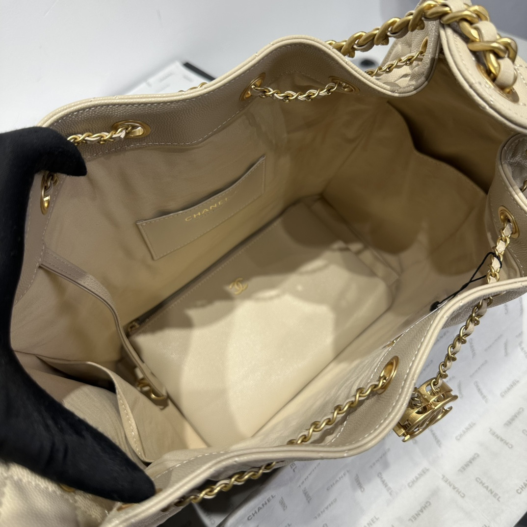 Chanel 25p Hobo Bag