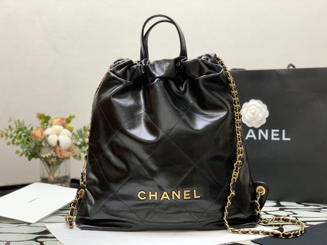 Chanle 22 Backpack