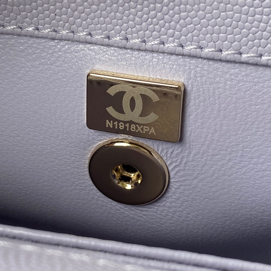 Chanle Coco Handle Bag