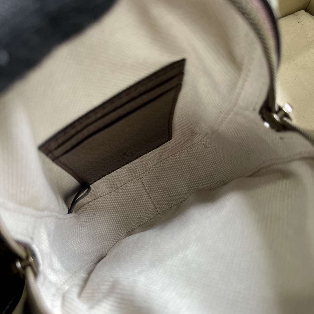 Gucci Ophidia Bag