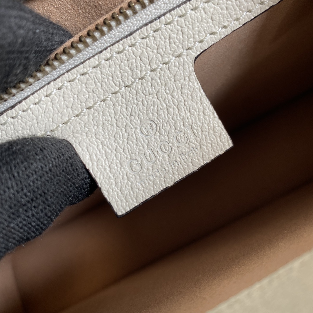 Gucci Ophidia Bag