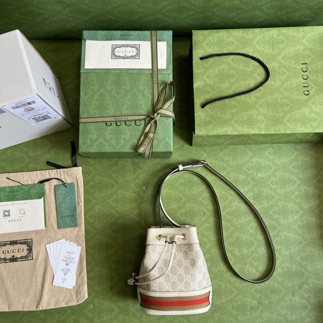 Gucci Ophidia Bag