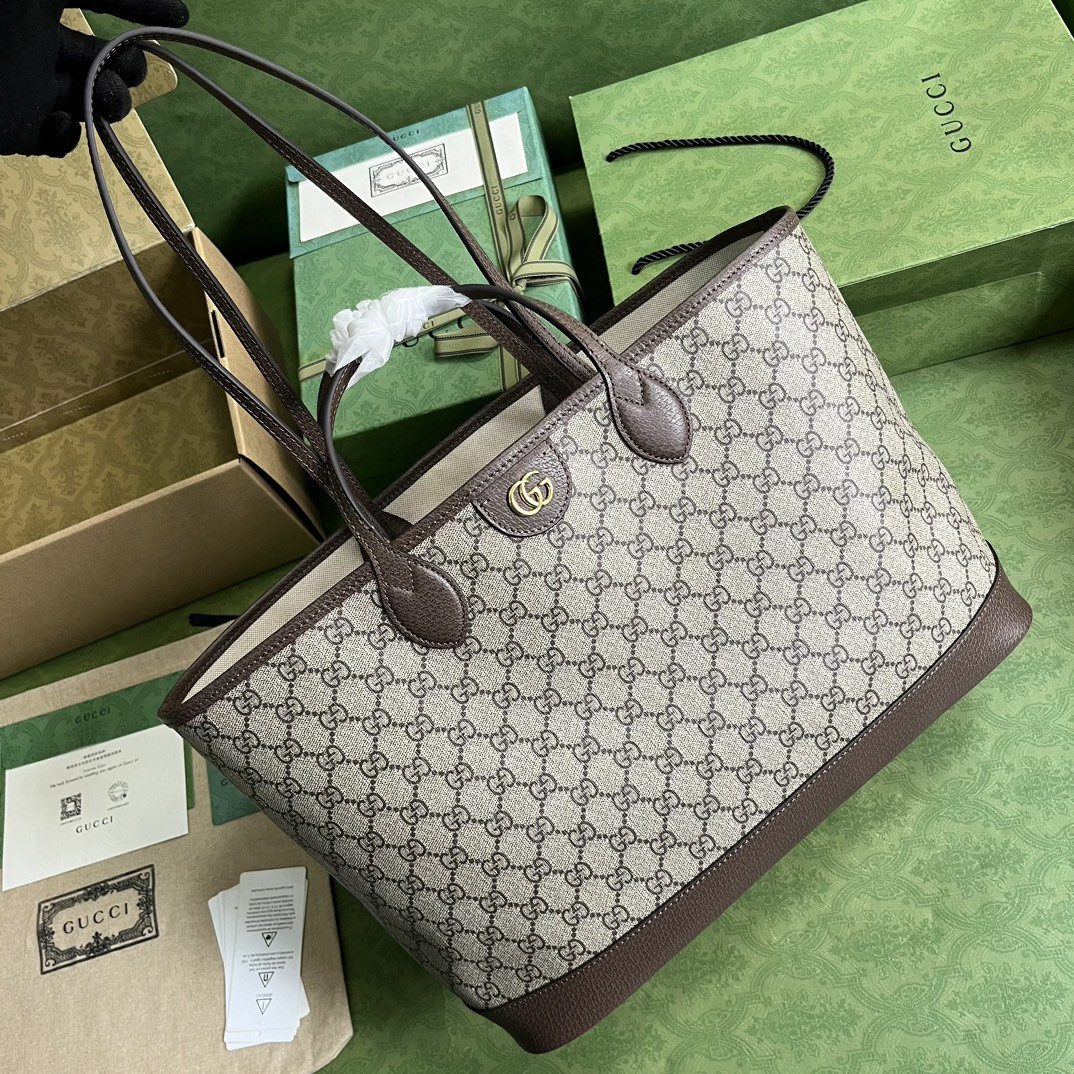 Gucci Ophidia Bag