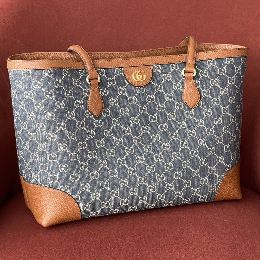 Gucci Ophidia Bag