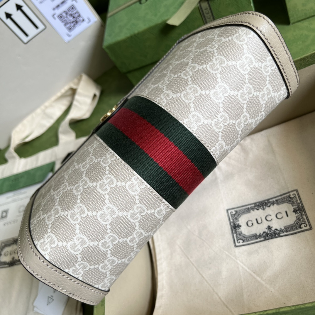Gucci Ophidia Bag