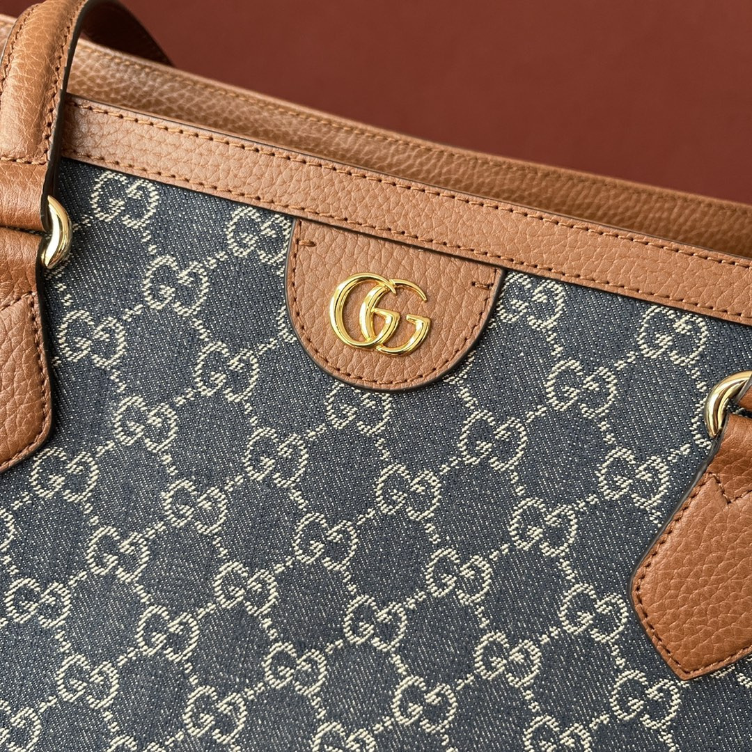 Gucci Ophidia Bag
