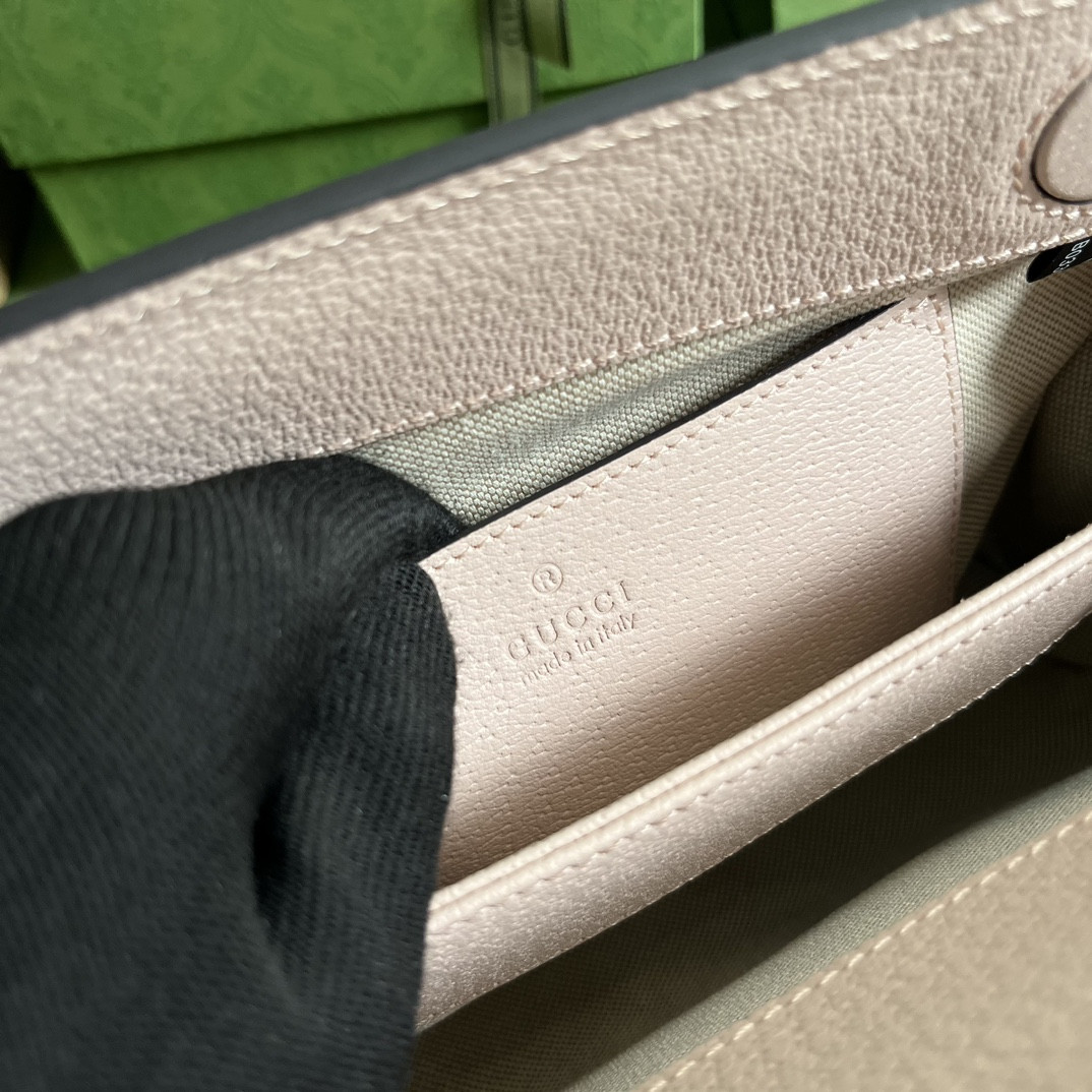 Gucci Ophidia Bag