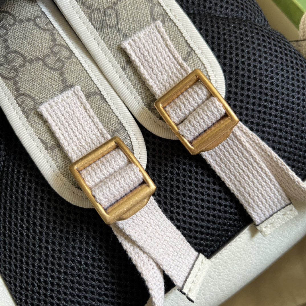 Gucci Ophidia Bag