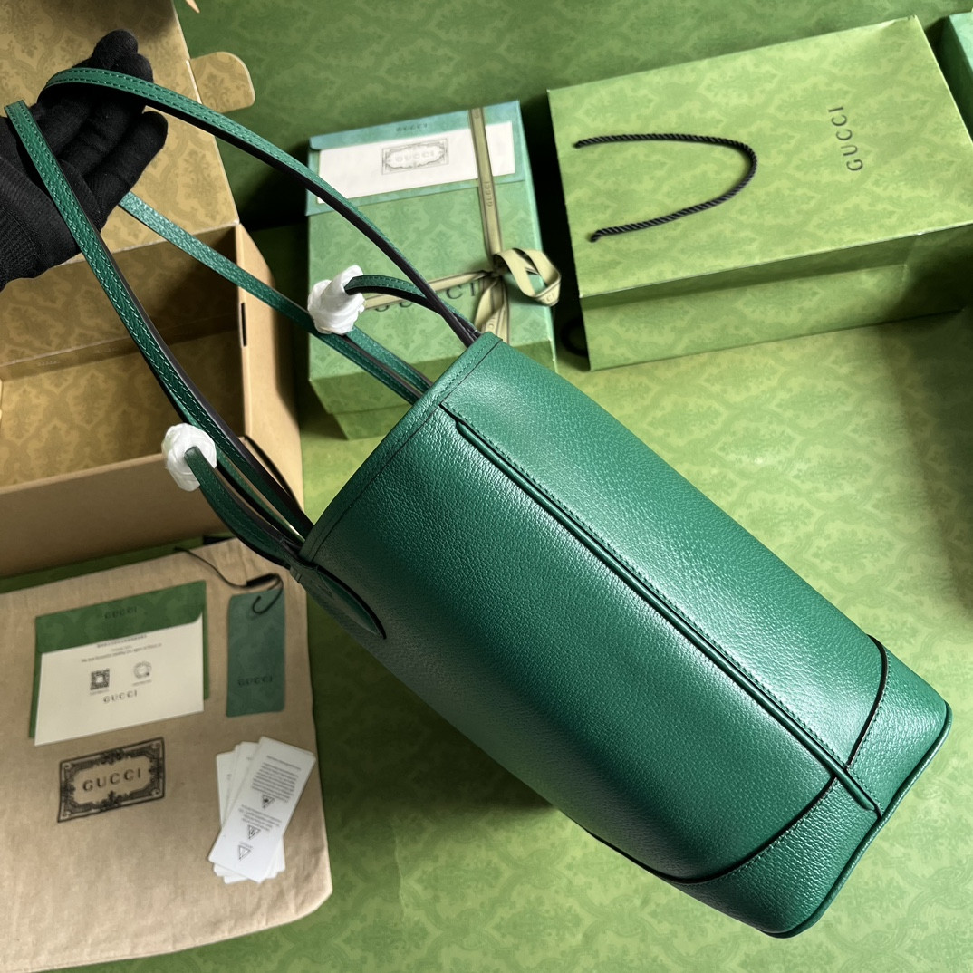 Gucci Ophidia Bag