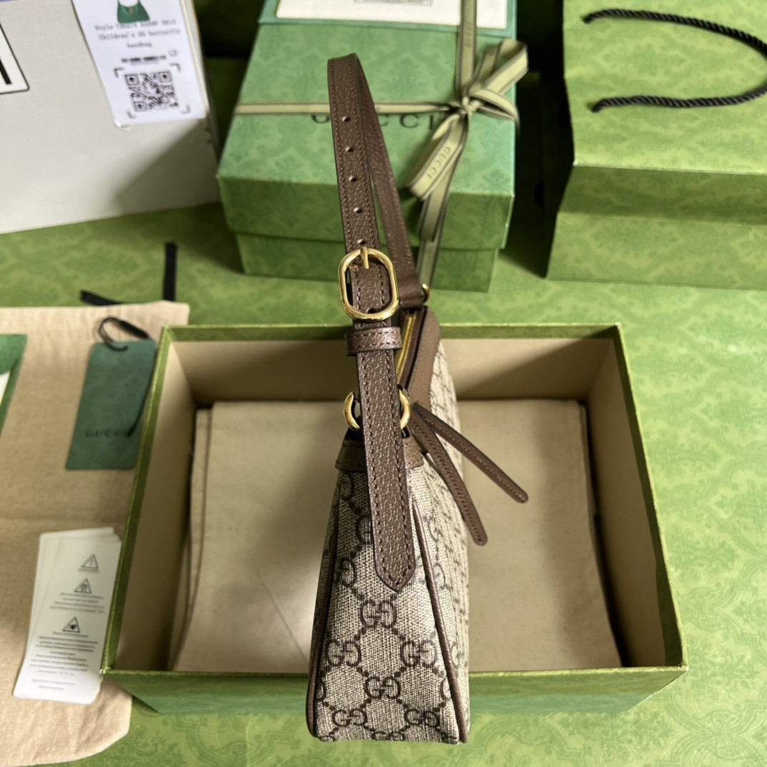 Gucci Ophidia Bag