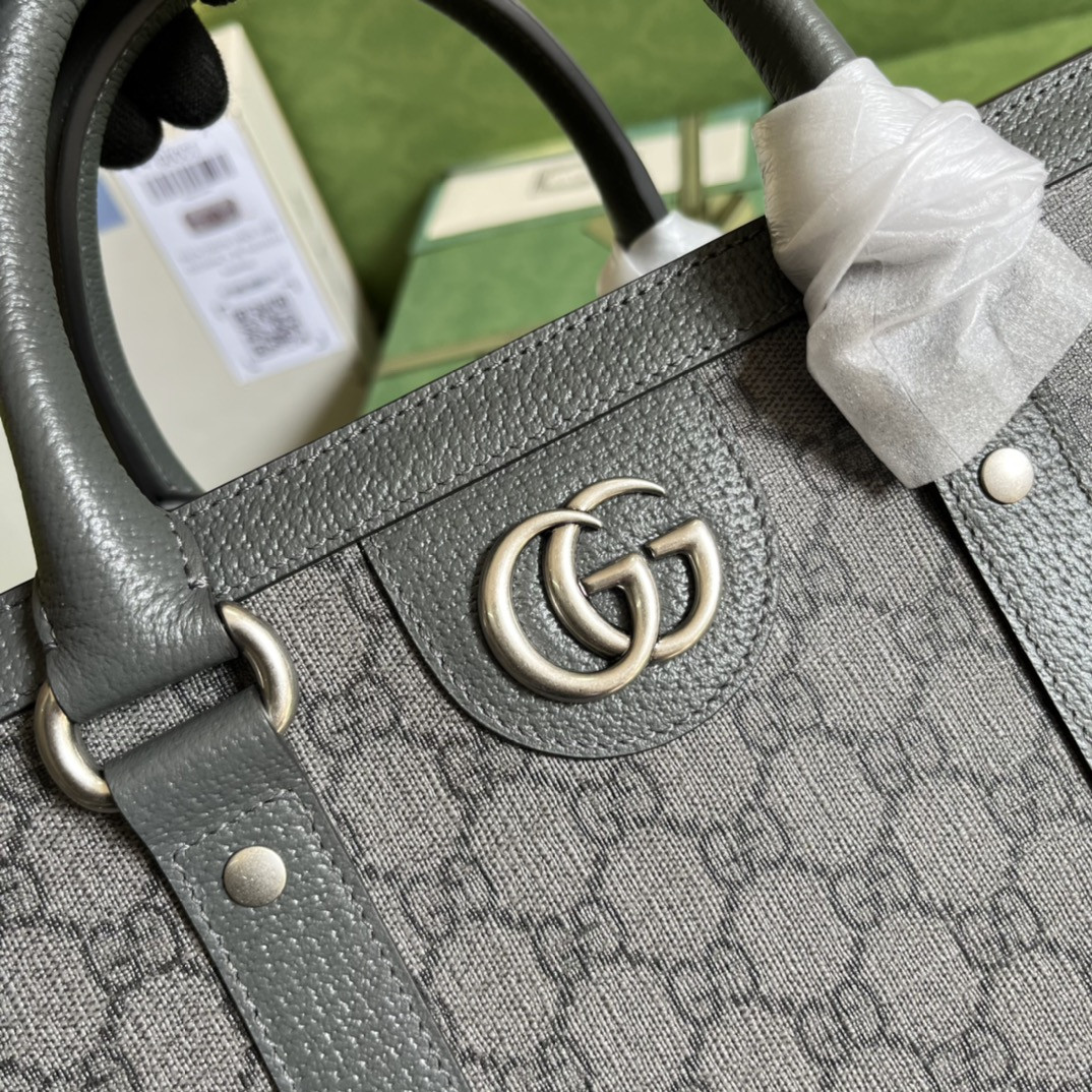 Gucci Ophidia Bag