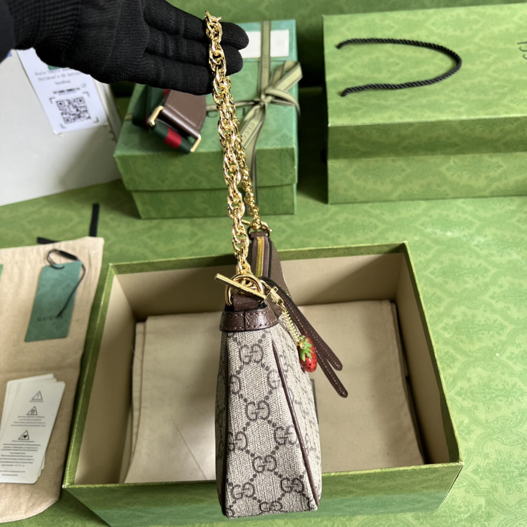 Gucci Ophidia Bag