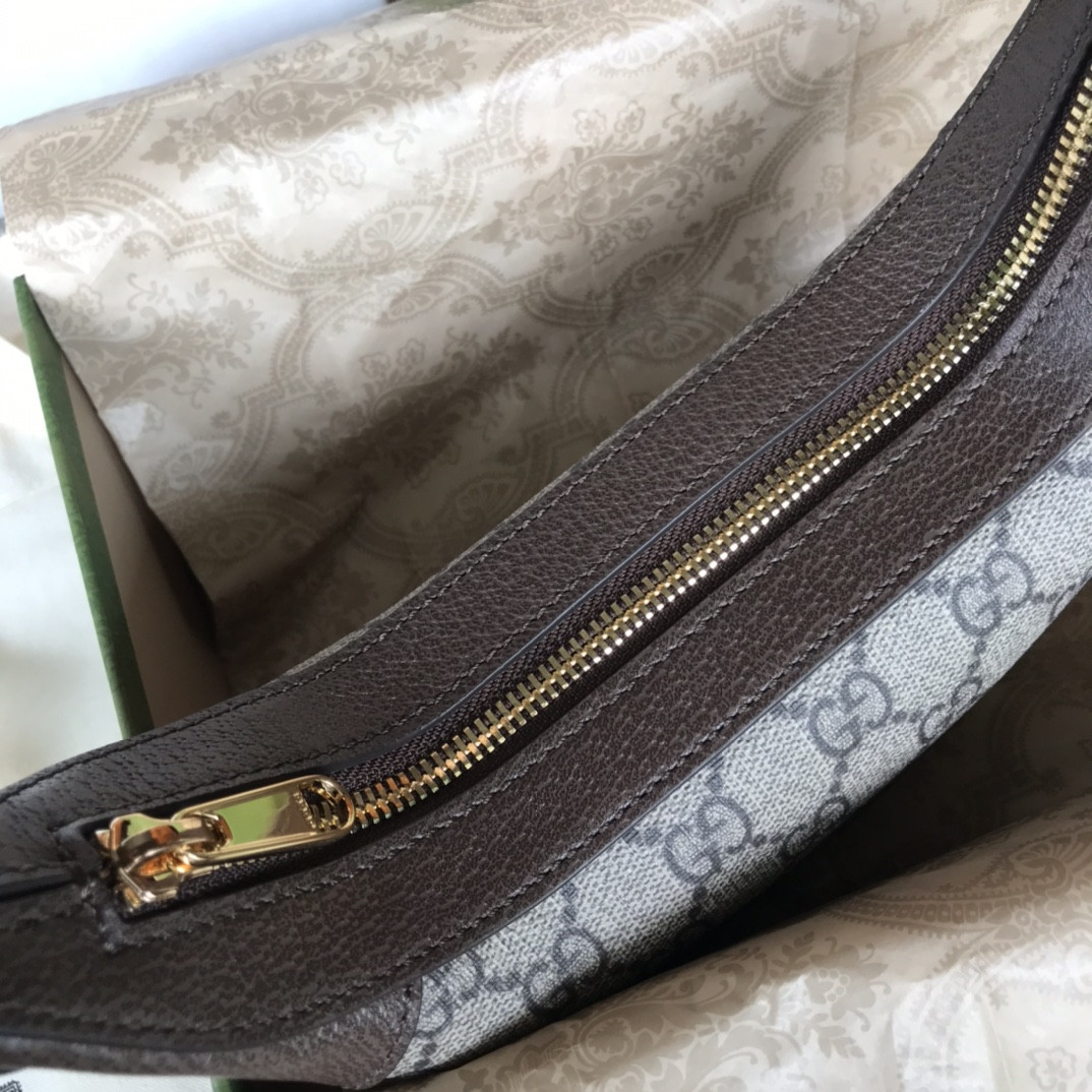 Gucci Ophidia Bag