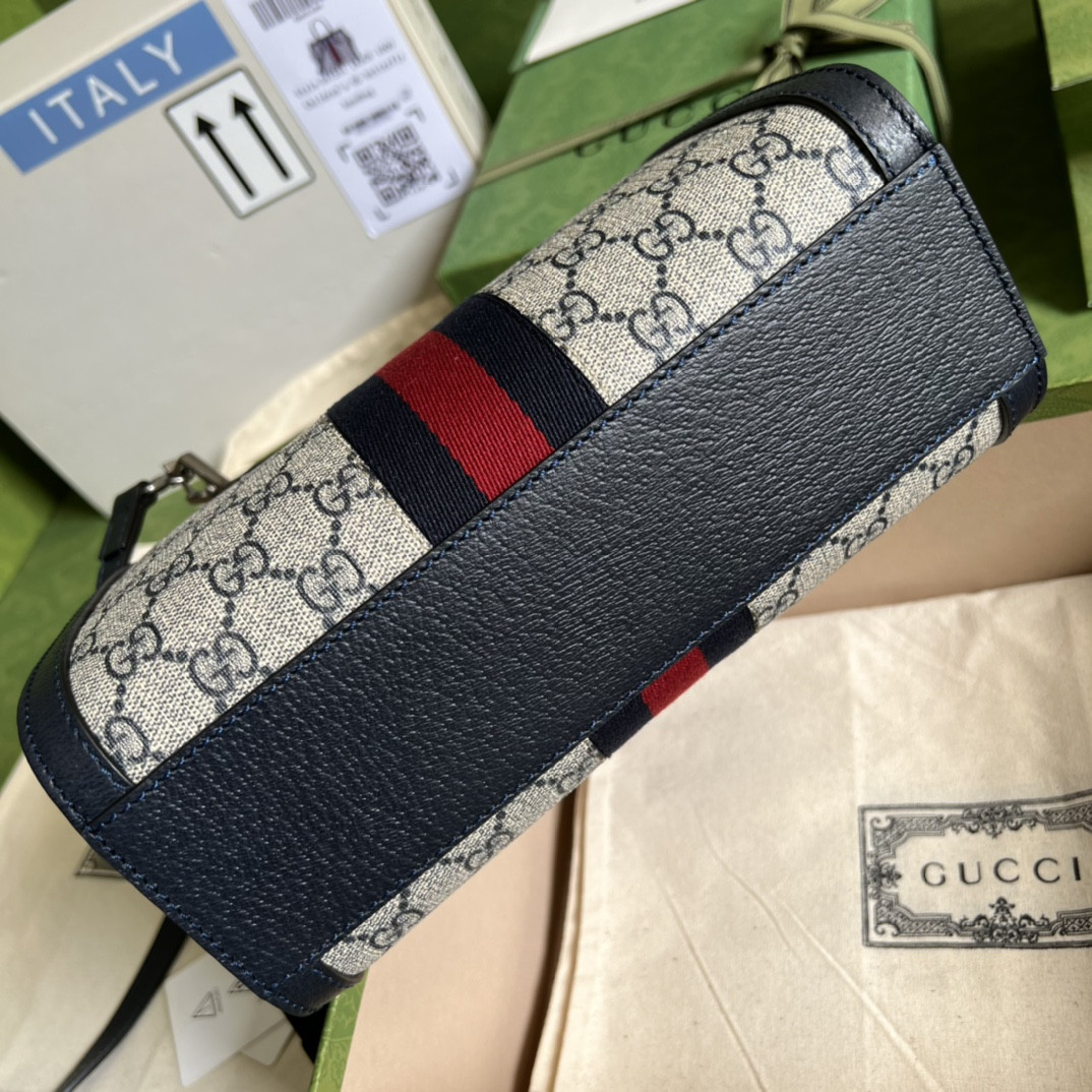 Gucci Ophidia Bag