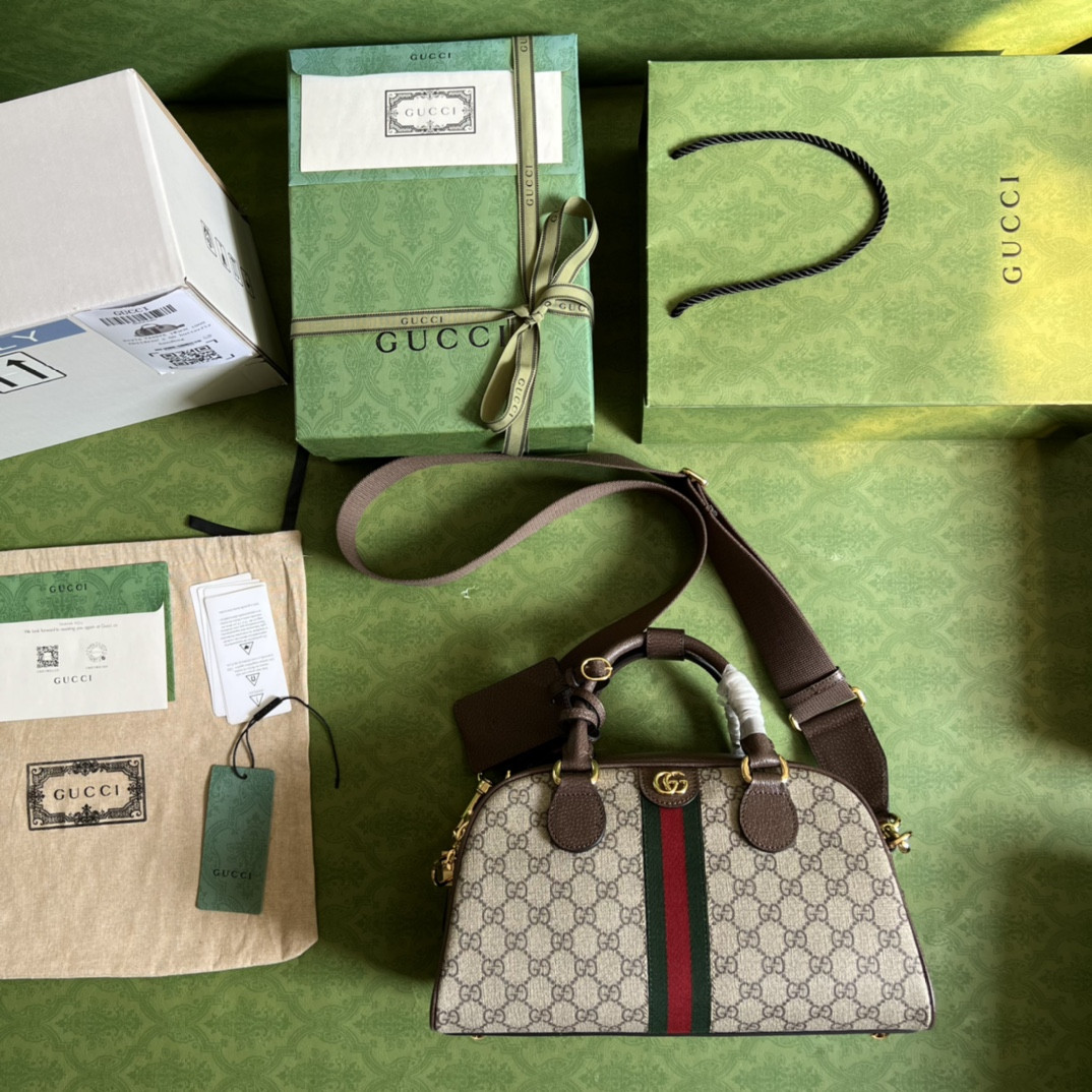 Gucci Ophidia Bag