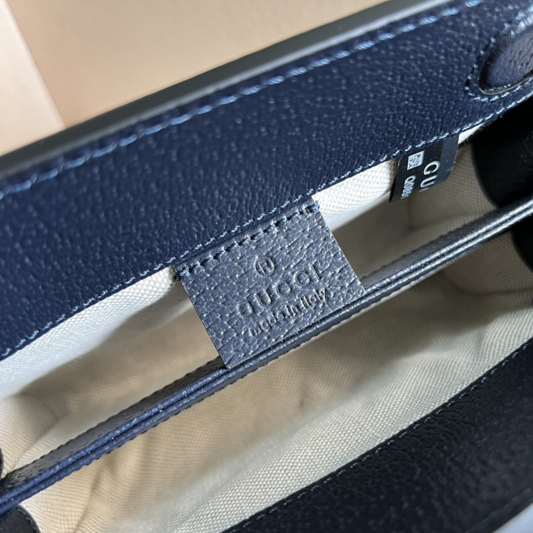 Gucci Ophidia Bag