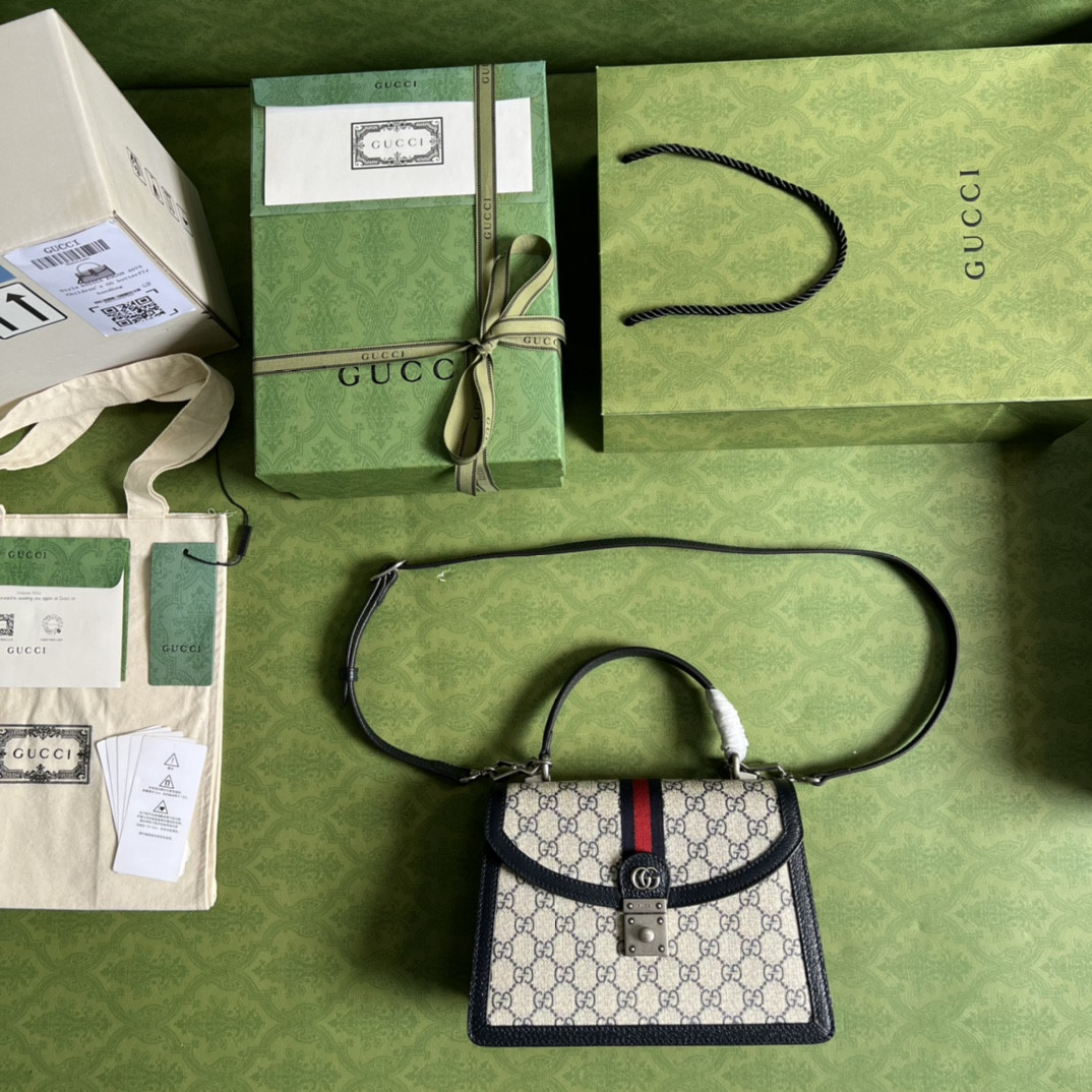 Gucci Ophidia Bag