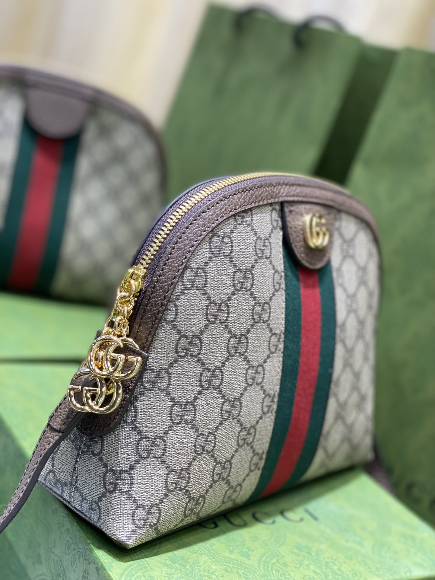 Gucci Ophidia Bag