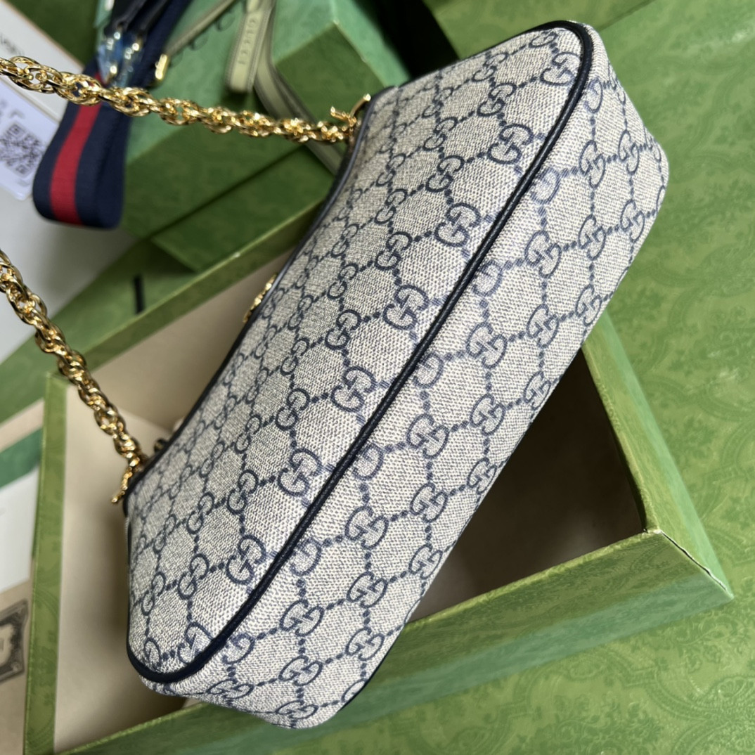 Gucci Ophidia Bag