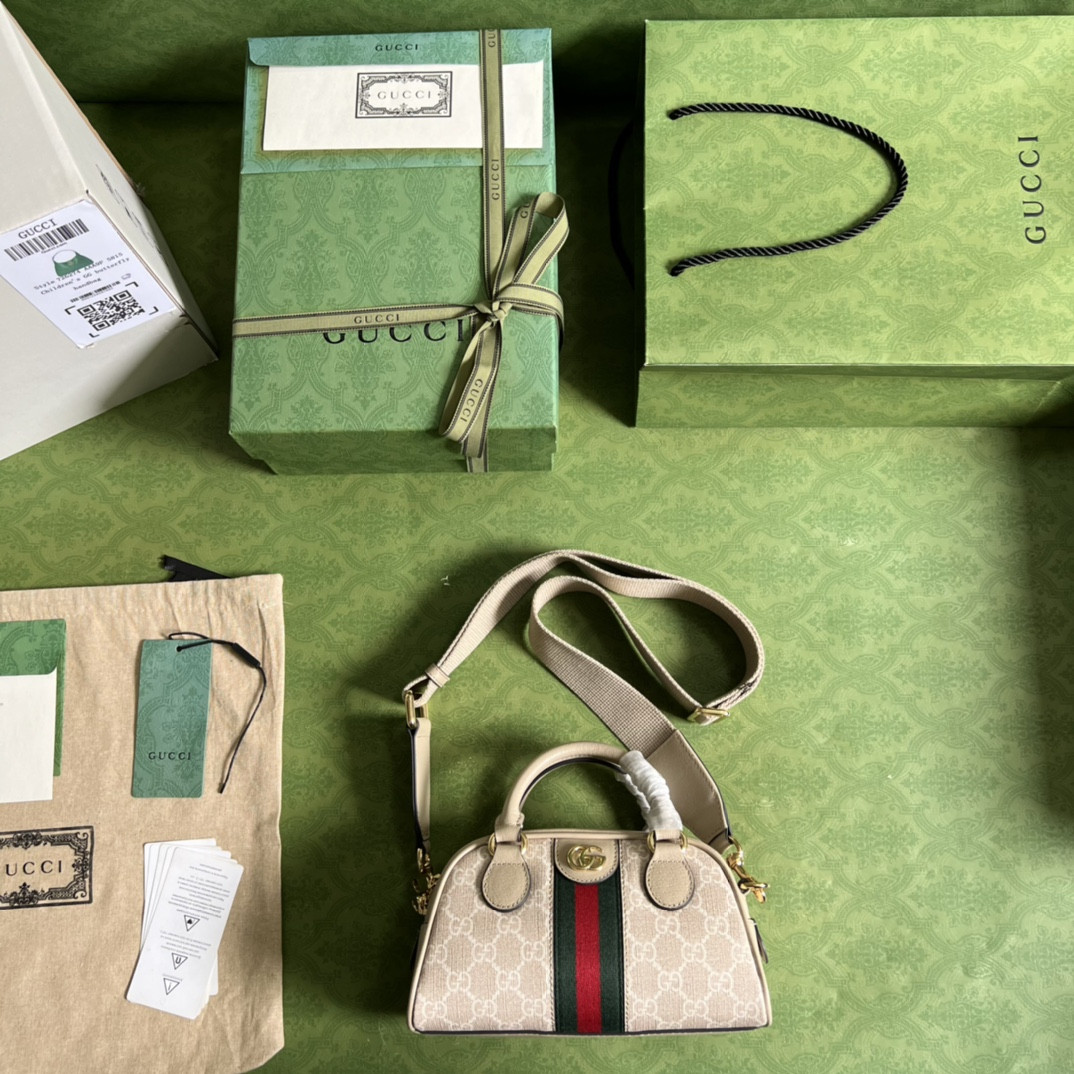 Gucci Ophidia Bag