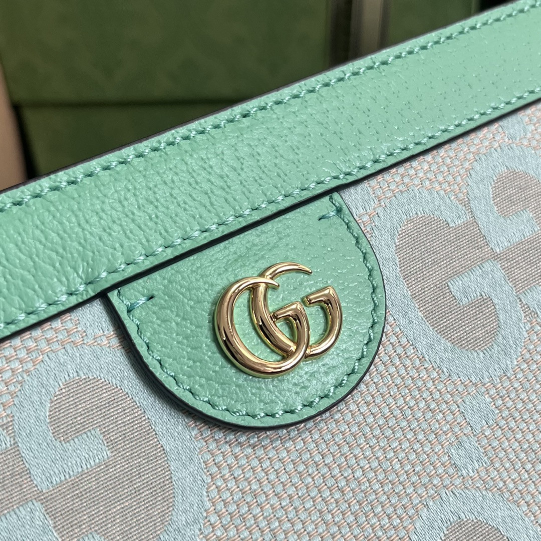 Gucci Ophidia Bag