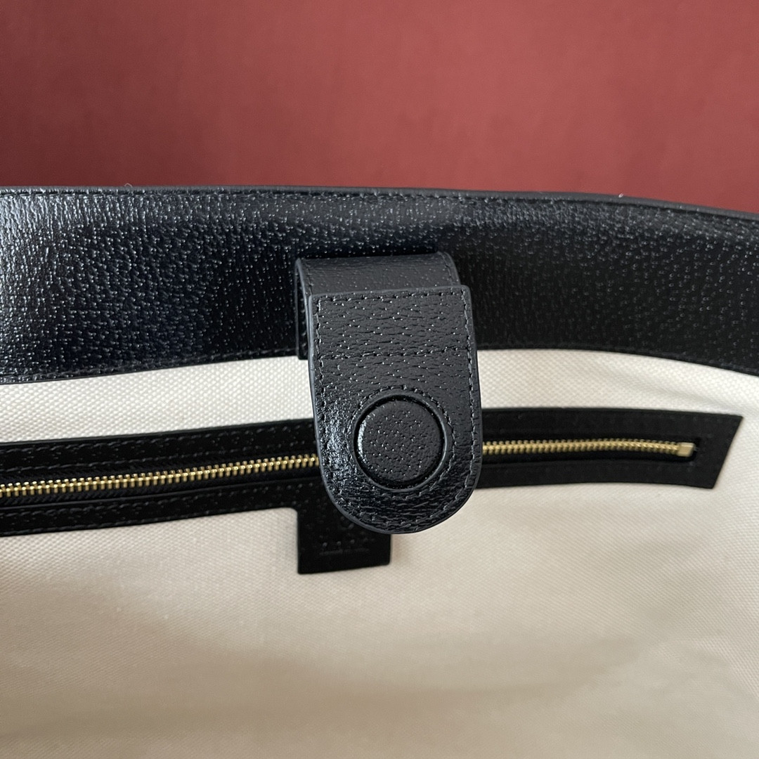 Gucci Ophidia Bag