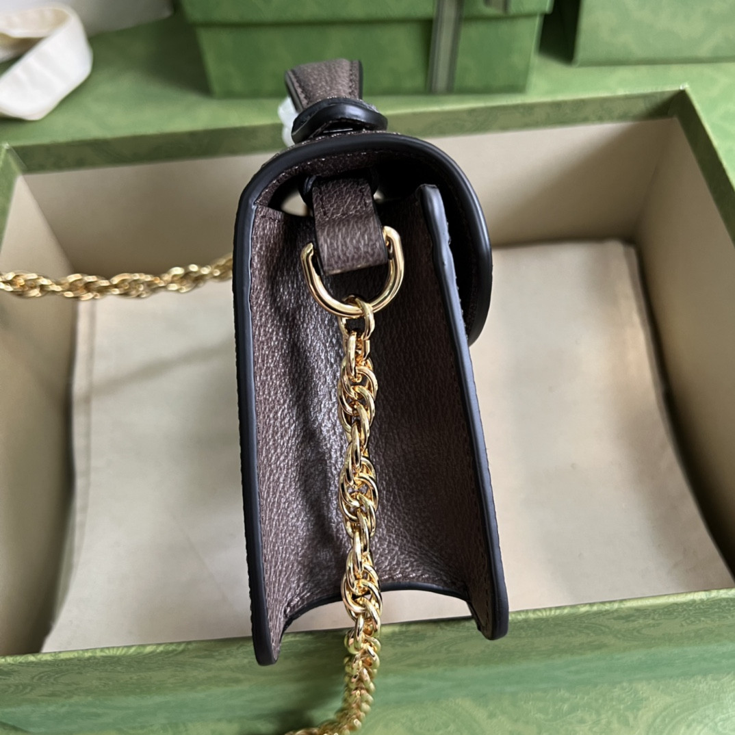 Gucci Ophidia Bag