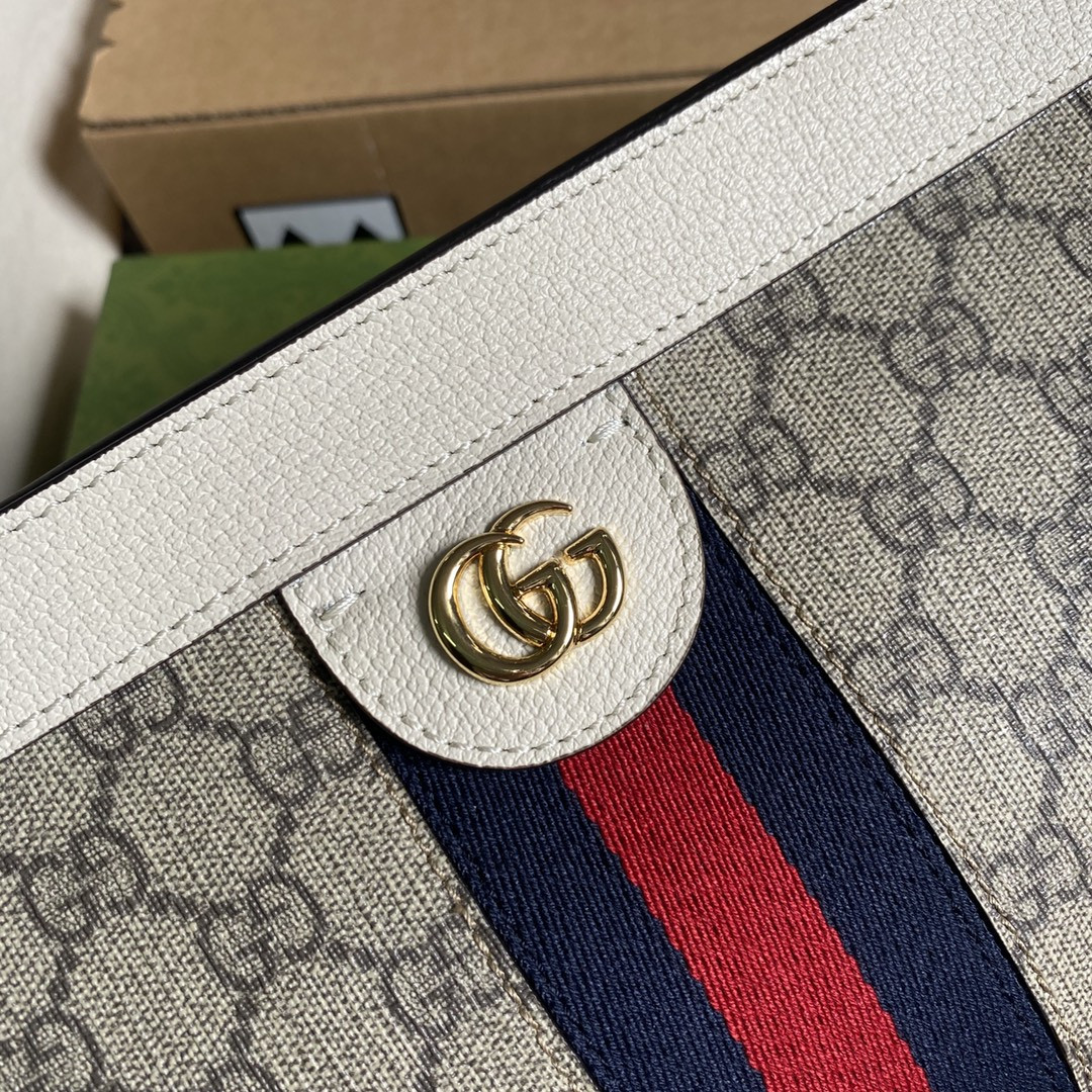 Gucci Ophidia Bag