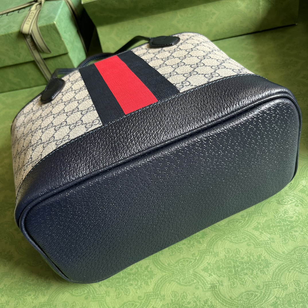 Gucci Ophidia Bag