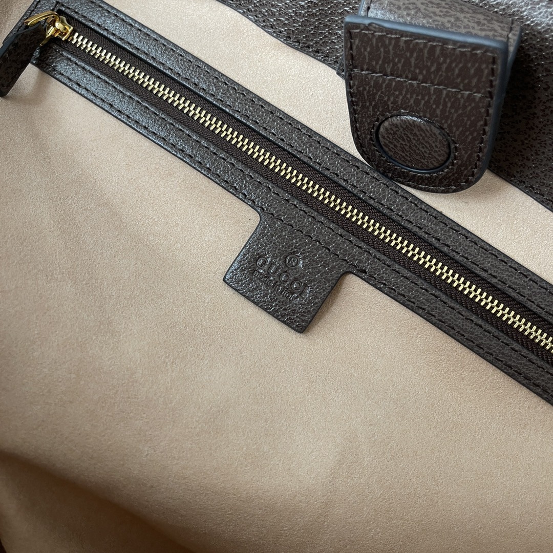 Gucci Ophidia Bag