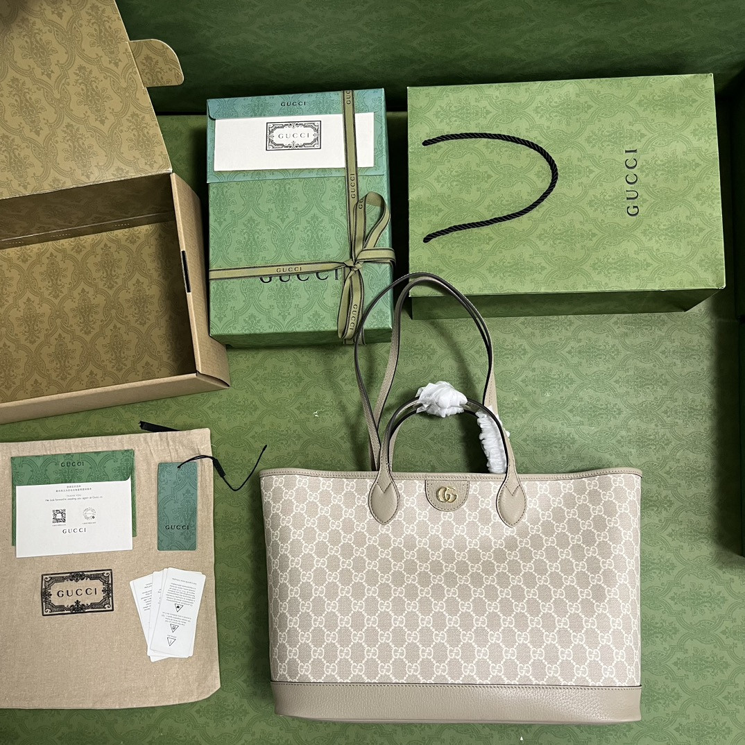 Gucci Ophidia Bag