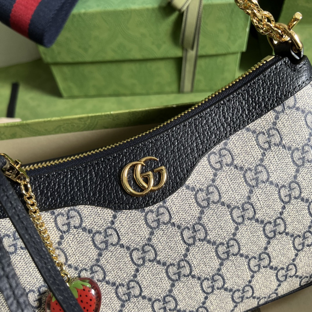 Gucci Ophidia Bag