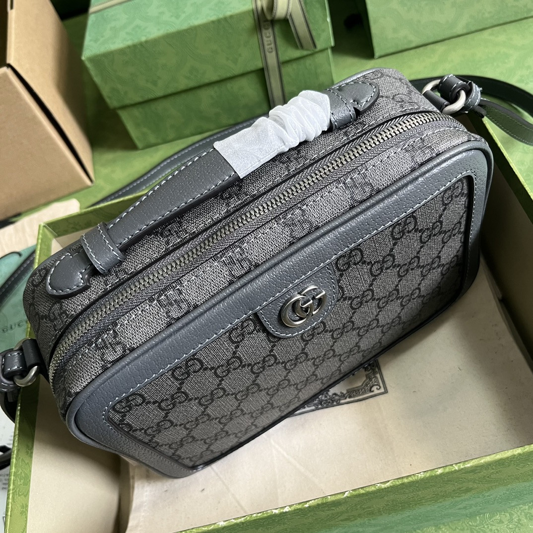 Gucci Ophidia Bag