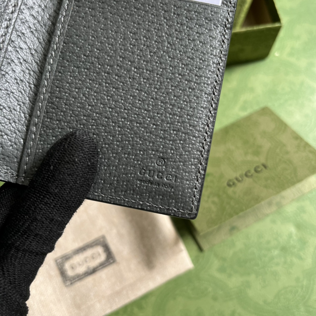 Gucci Ophidia Bag