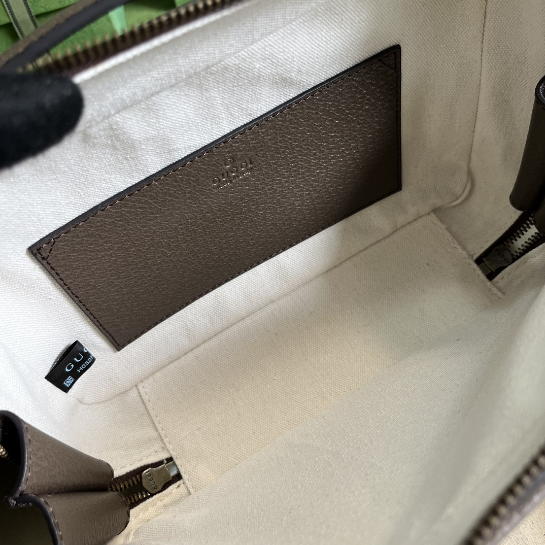 Gucci Ophidia Bag