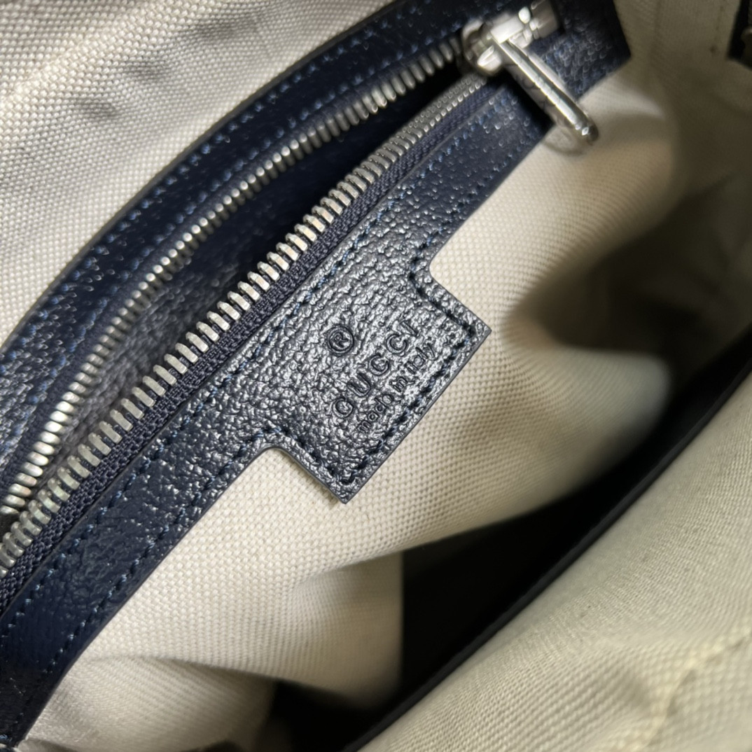 Gucci Ophidia Bag