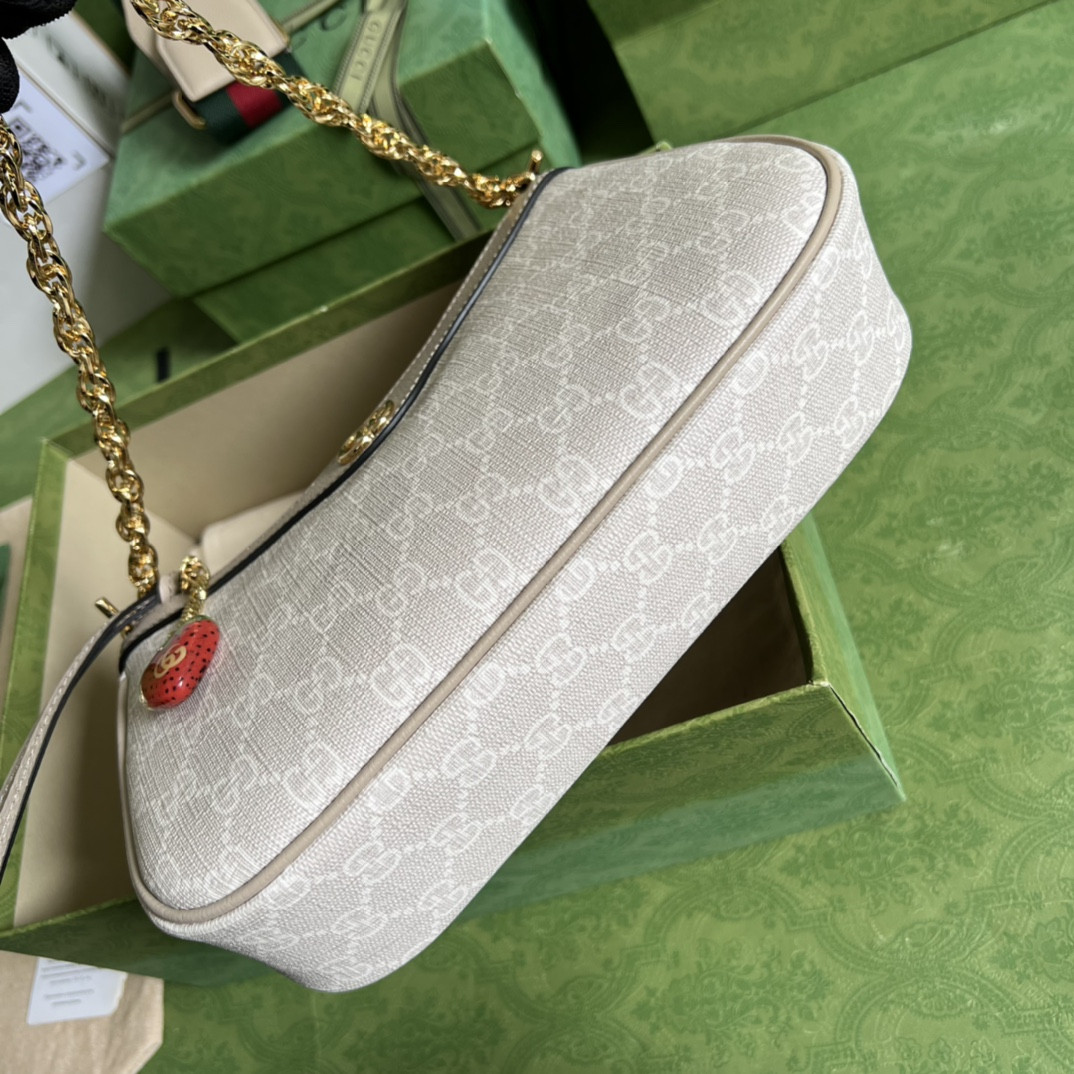 Gucci Ophidia Bag