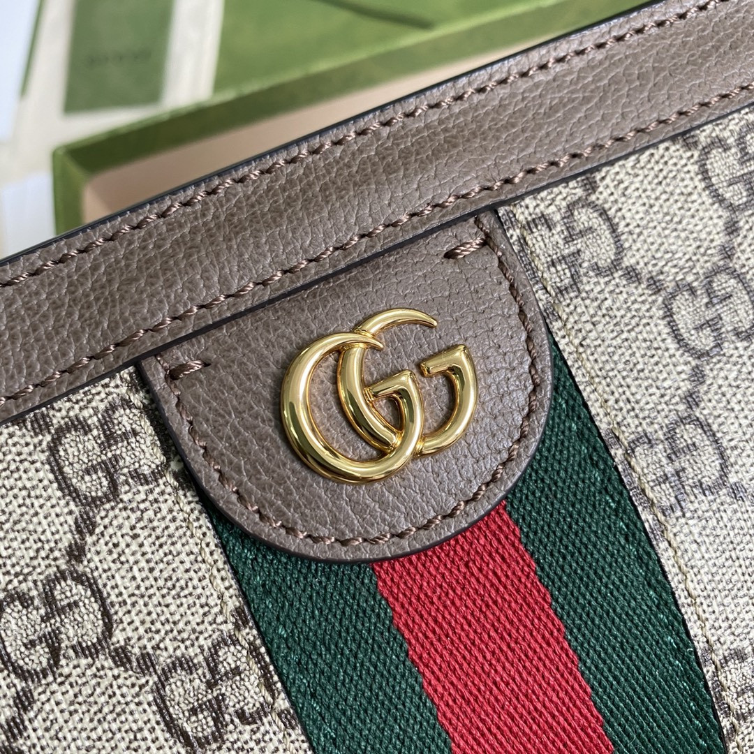 Gucci Ophidia Bag