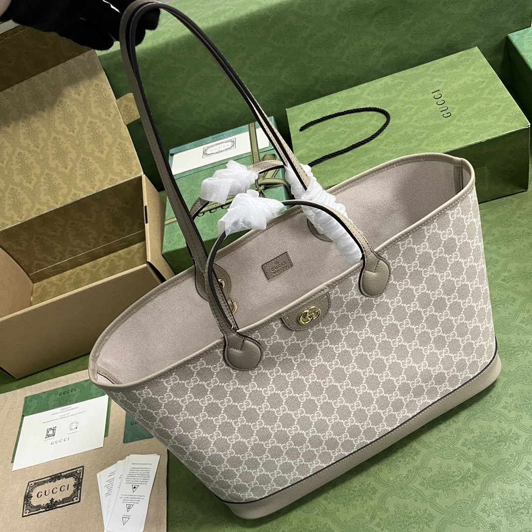 Gucci Ophidia Bag