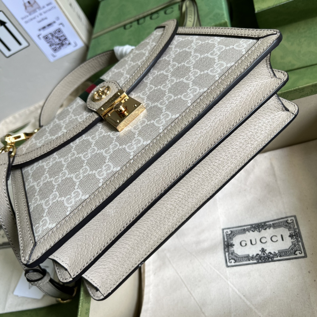 Gucci Ophidia Bag