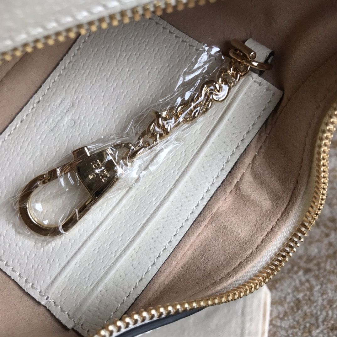 Gucci Ophidia Bag