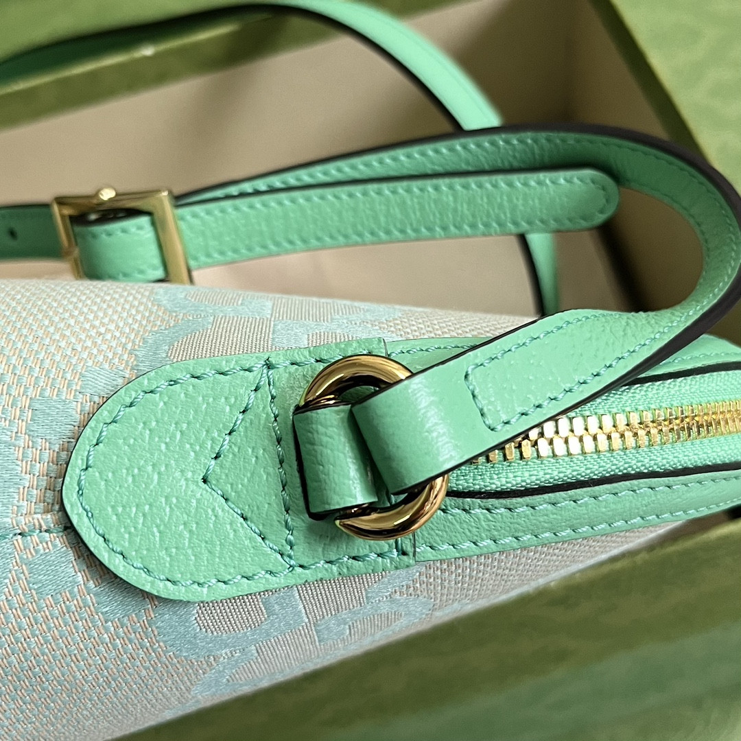 Gucci Ophidia Bag