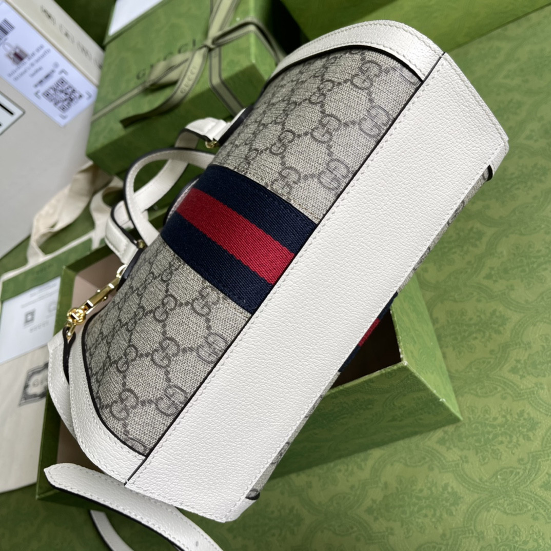Gucci Ophidia Bag