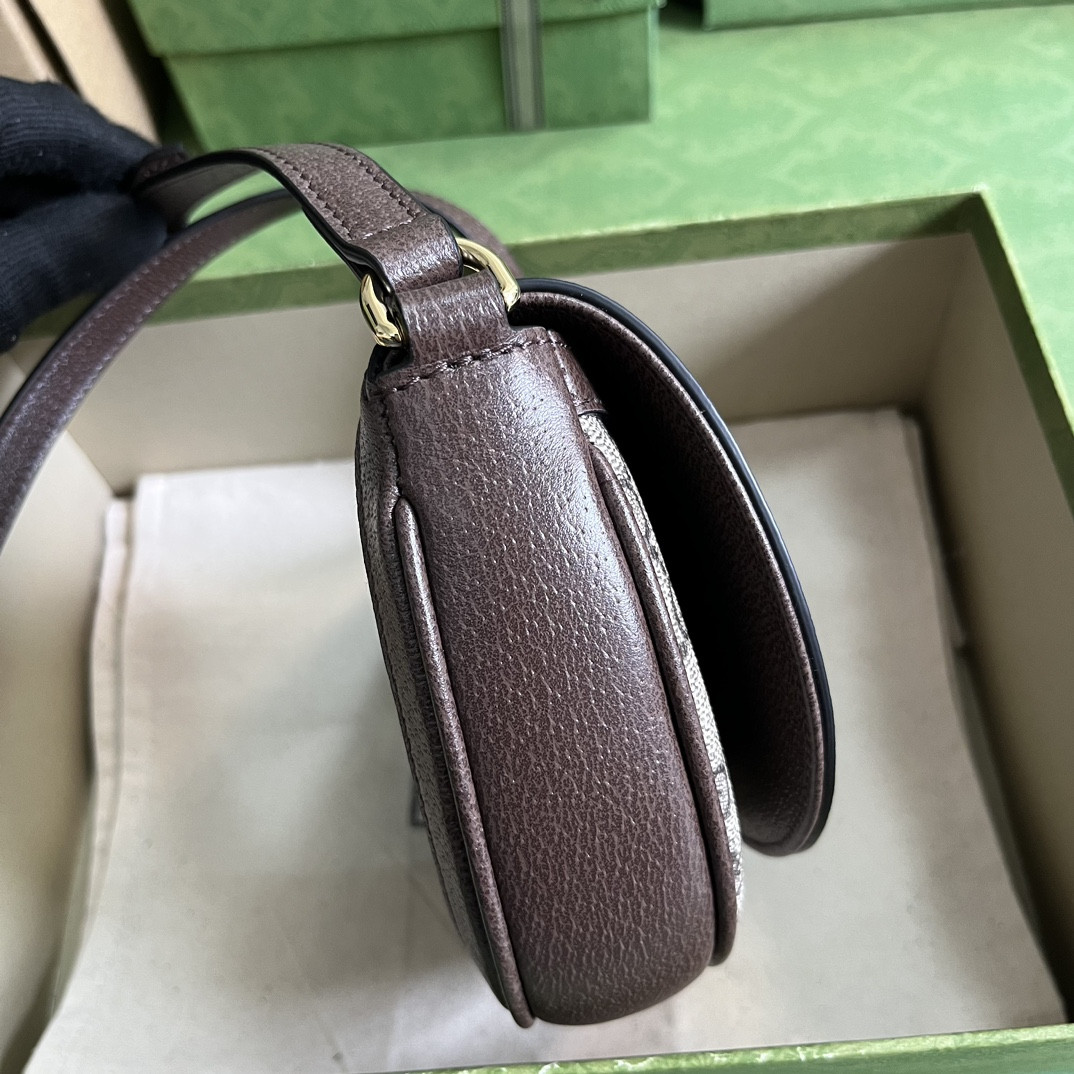 Gucci Ophidia Bag