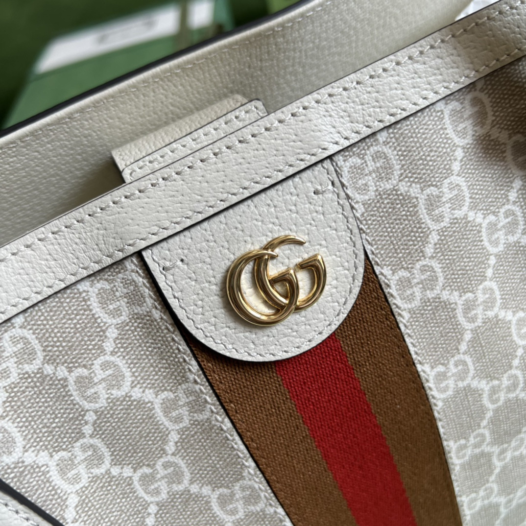 Gucci Ophidia Bag